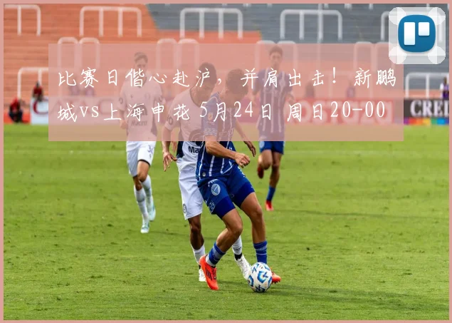 比赛日偕心赴沪，并肩出击！新鹏城vs上海申花 5月24日 周日20-00